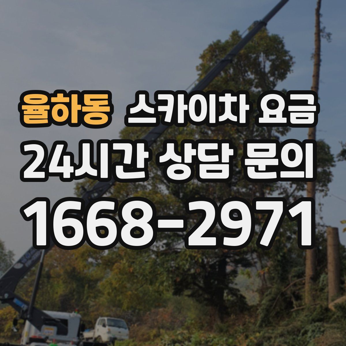 율하동 스카이차 요금