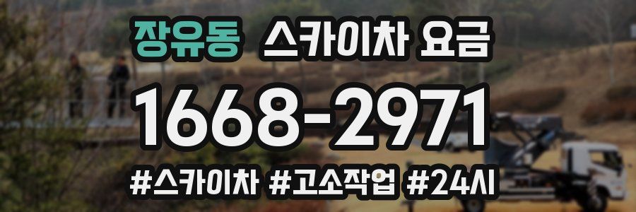 장유동 스카이차 요금