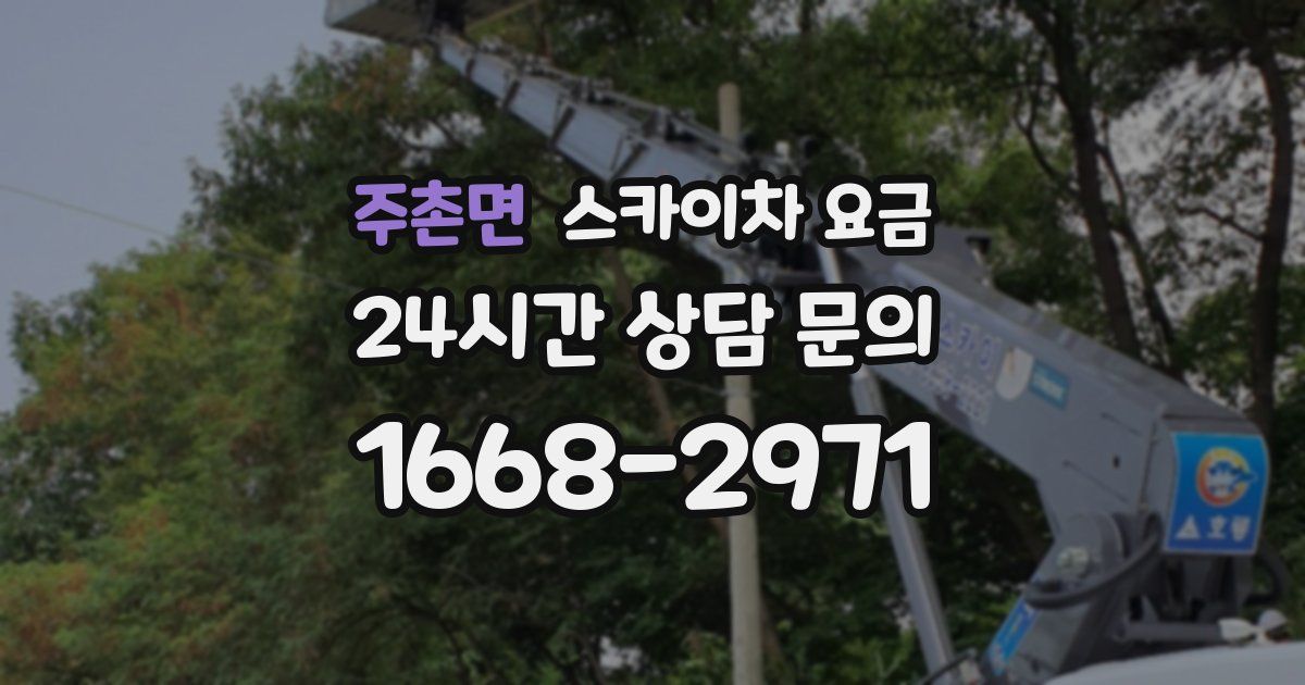 주촌면 스카이차 요금
