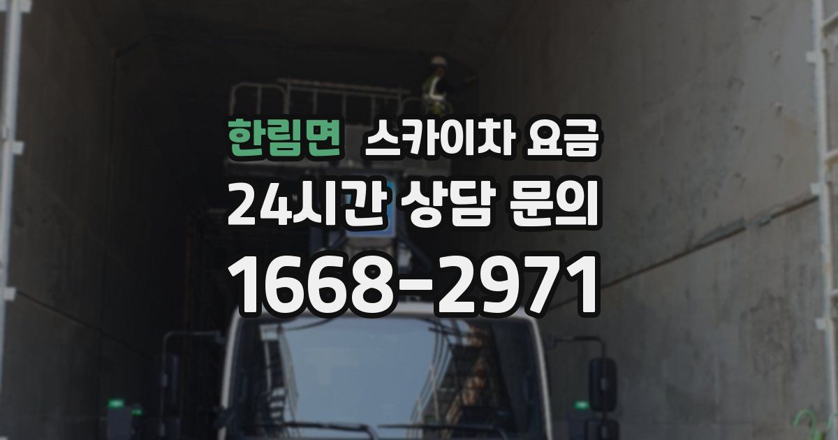 한림면 스카이차 요금