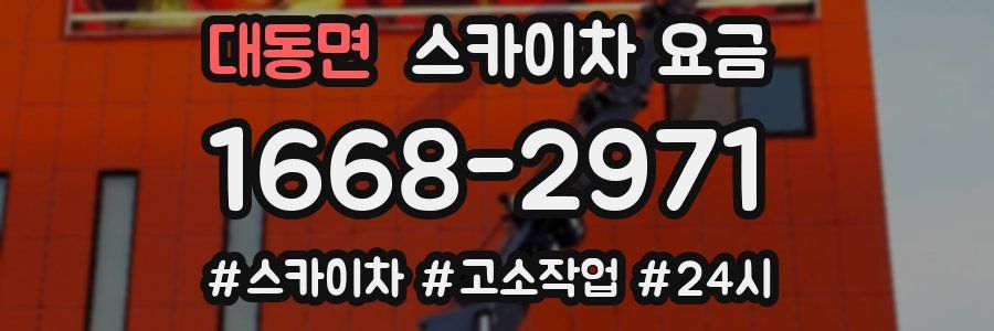 대동면 스카이차 요금