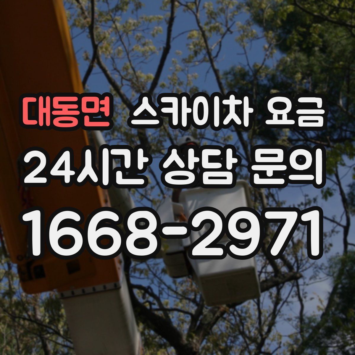 대동면 스카이차 요금