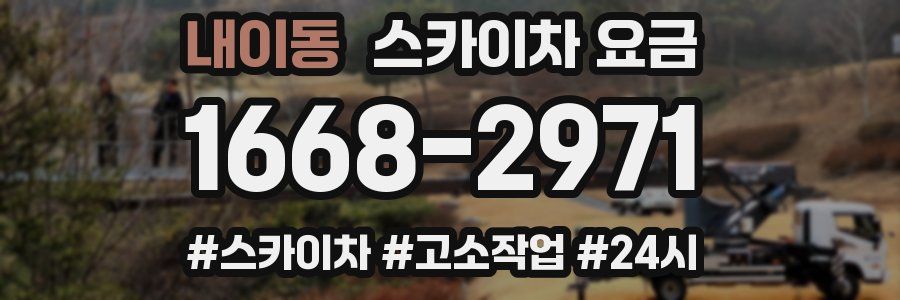 내이동 스카이차 요금