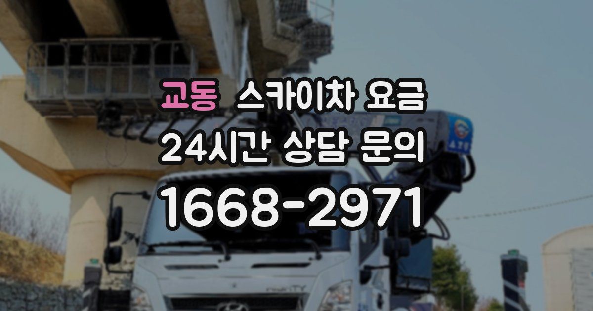 교동 스카이차 요금