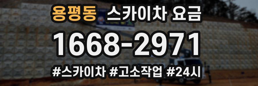 용평동 스카이차 요금