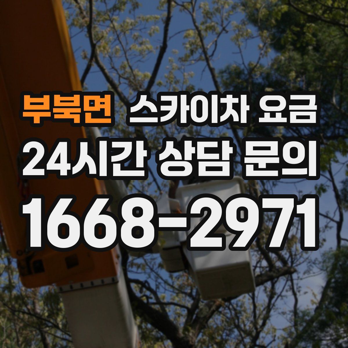 부북면 스카이차 요금