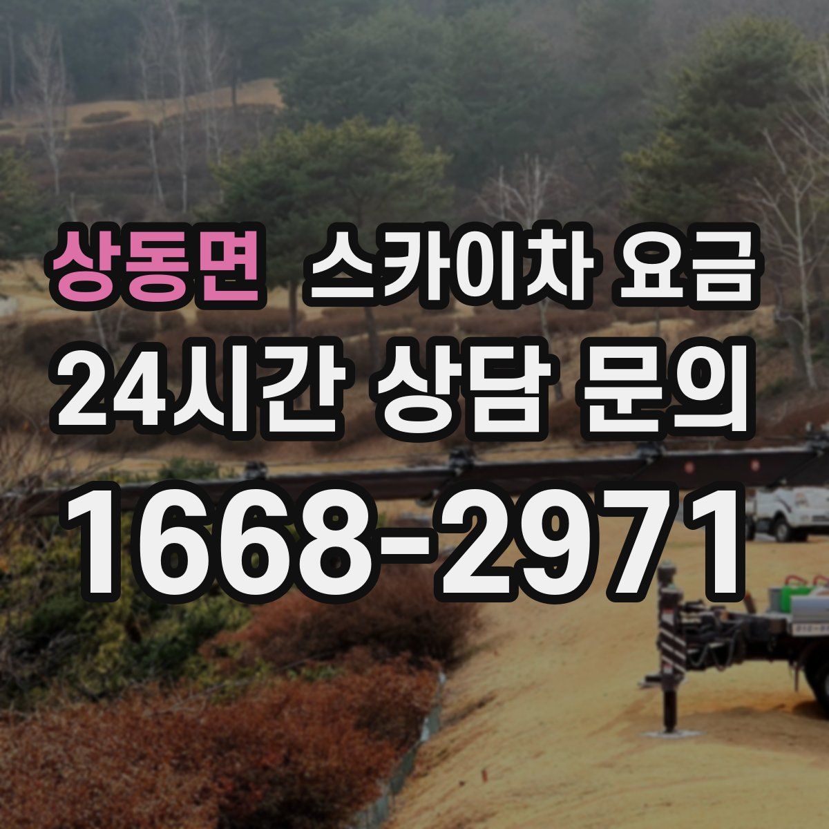상동면 스카이차 요금