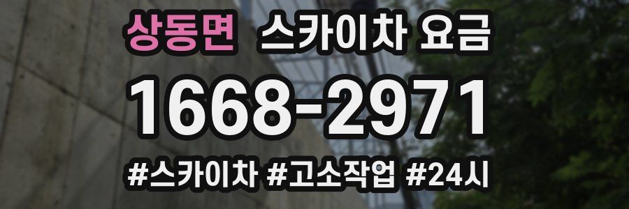상동면 스카이차 요금