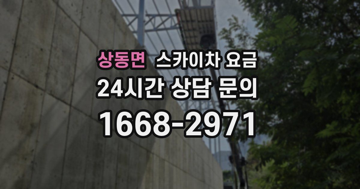 상동면 스카이차 요금