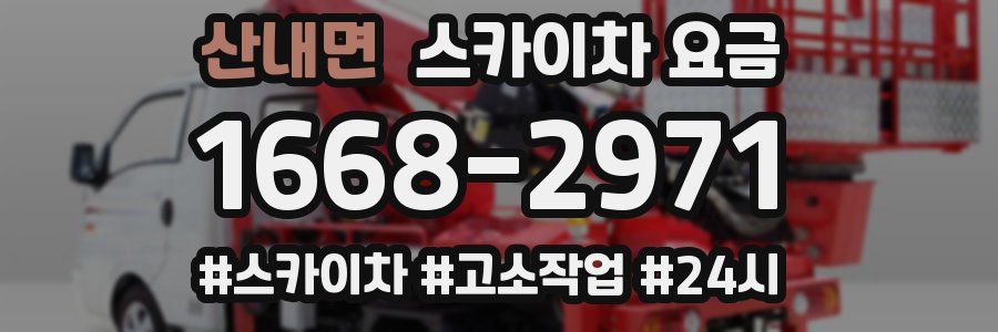 산내면 스카이차 요금