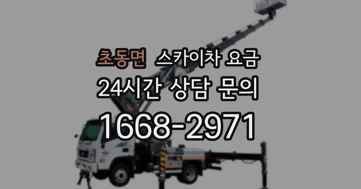 초동면 스카이차 요금