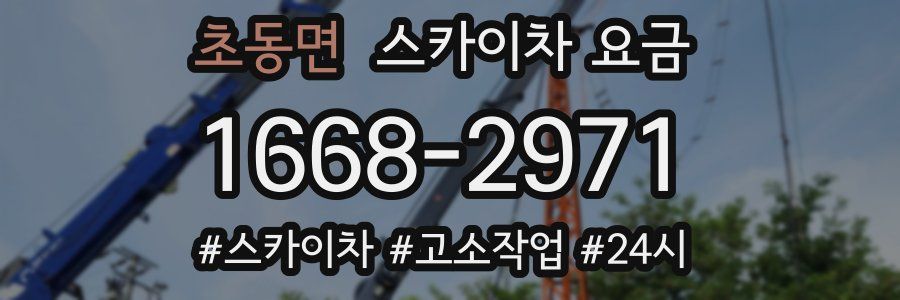 초동면 스카이차 요금