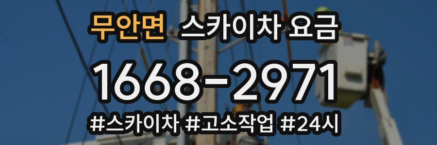 무안면 스카이차 요금