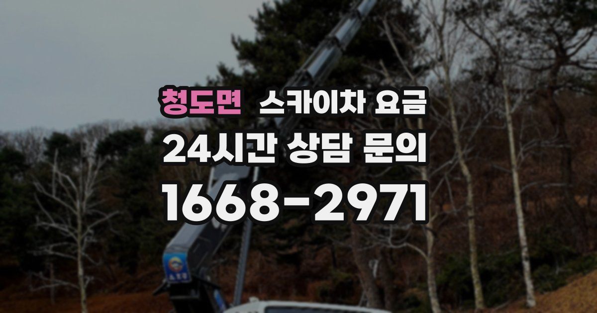 청도면 스카이차 요금