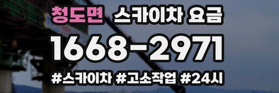 청도면 스카이차 요금