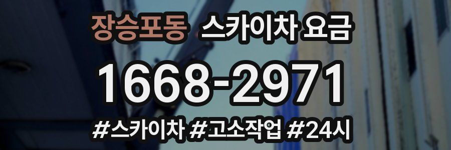 장승포동 스카이차 요금