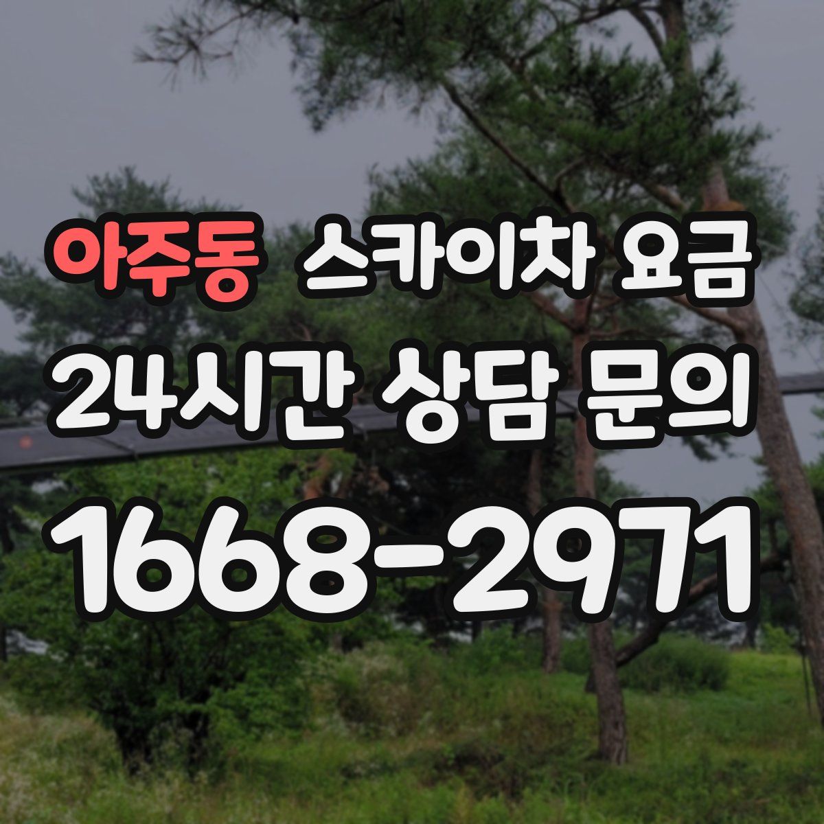 아주동 스카이차 요금