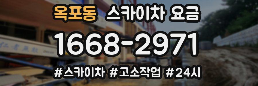 옥포동 스카이차 요금