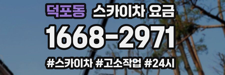 덕포동 스카이차 요금