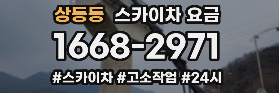 상동동 스카이차 요금