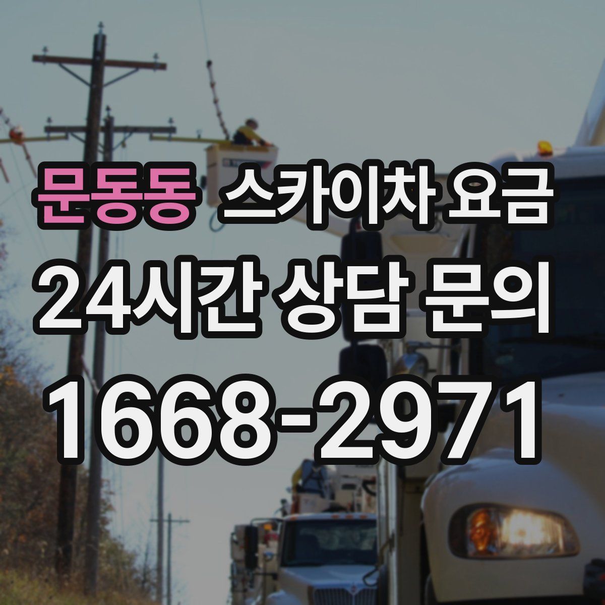문동동 스카이차 요금