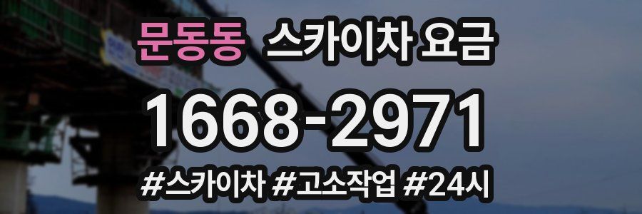 문동동 스카이차 요금
