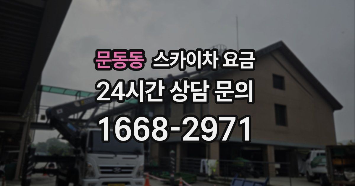 문동동 스카이차 요금