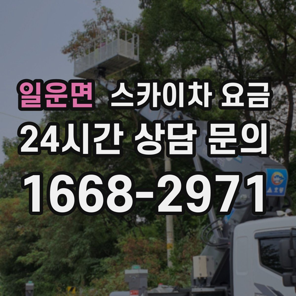 일운면 스카이차 요금