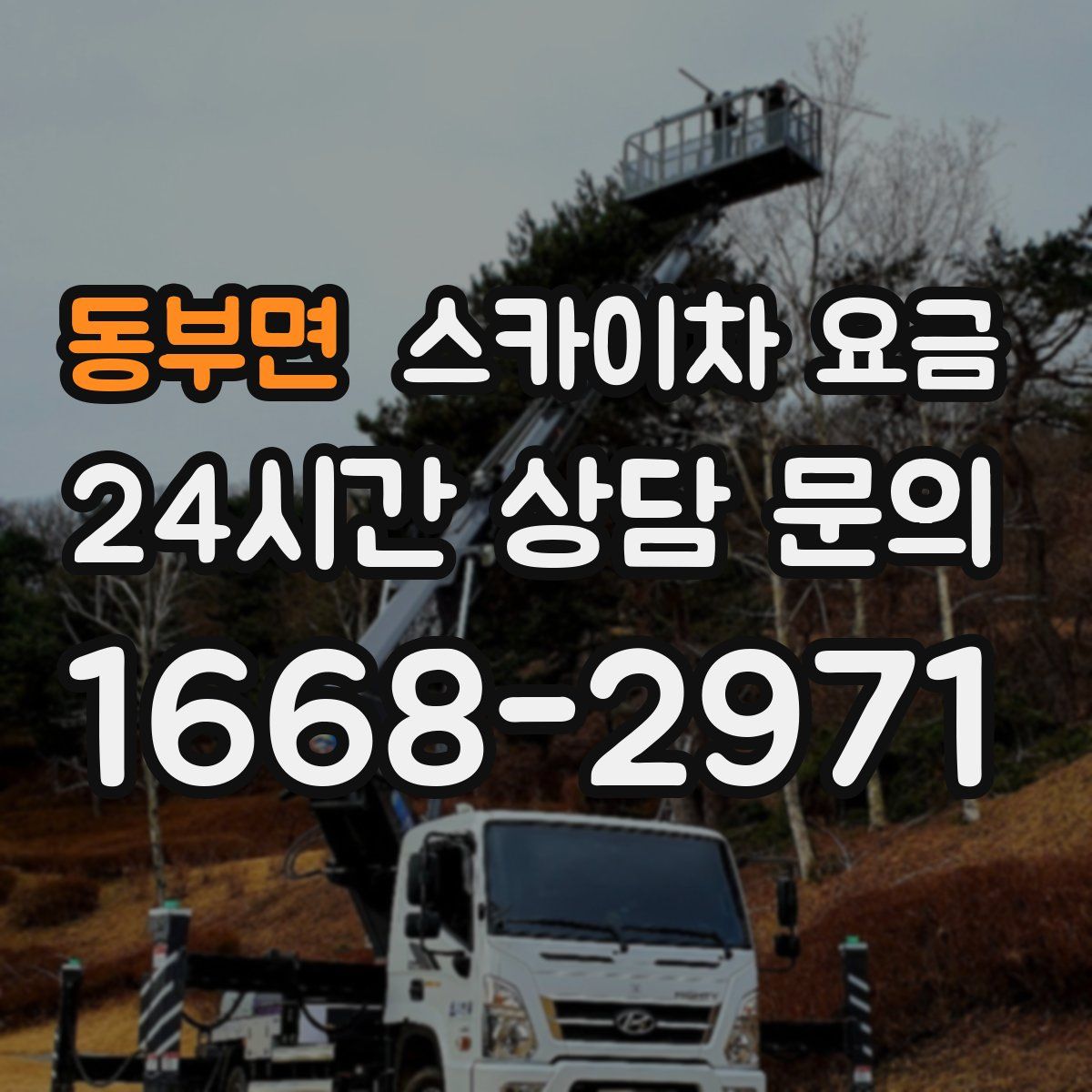 동부면 스카이차 요금