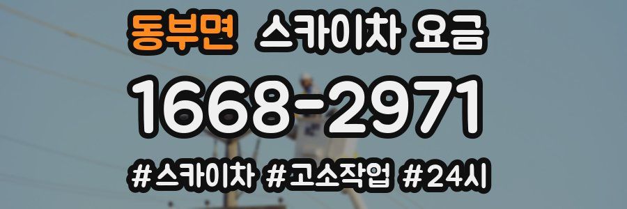 동부면 스카이차 요금