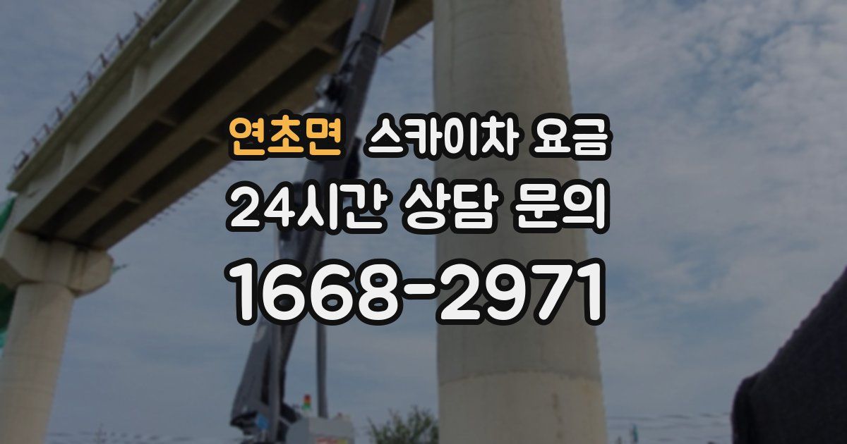 연초면 스카이차 요금