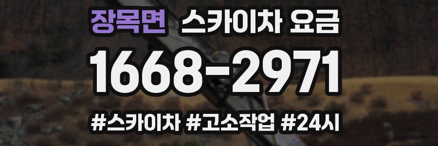 장목면 스카이차 요금