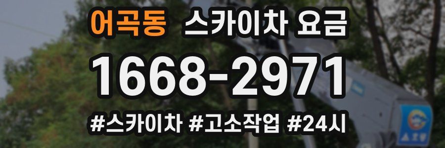 어곡동 스카이차 요금