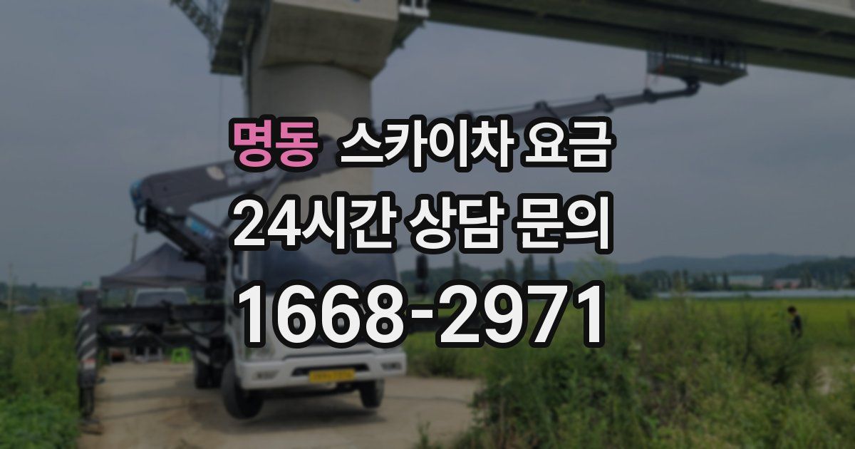 명동 스카이차 요금