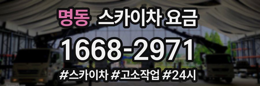 명동 스카이차 요금