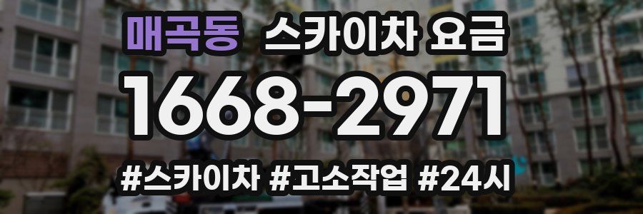 매곡동 스카이차 요금