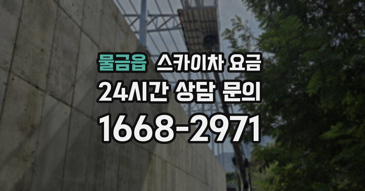 물금읍 스카이차 요금