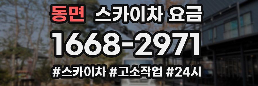 동면 스카이차 요금