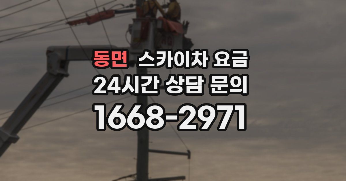 동면 스카이차 요금