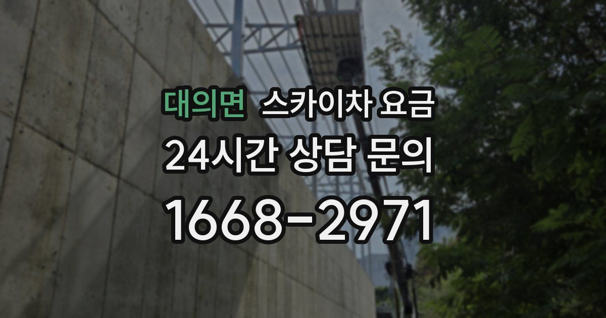 대의면 스카이차 요금