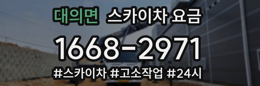 대의면 스카이차 요금