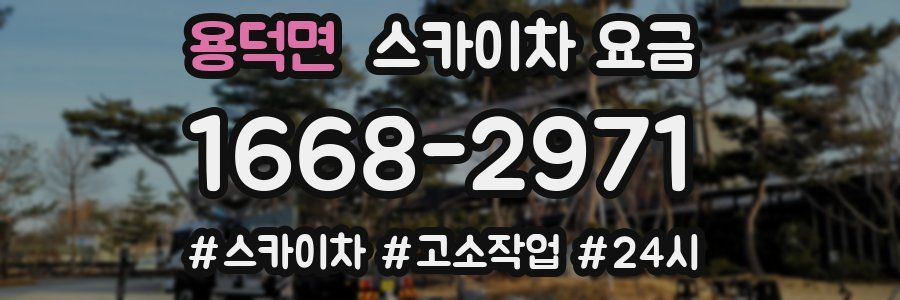 용덕면 스카이차 요금