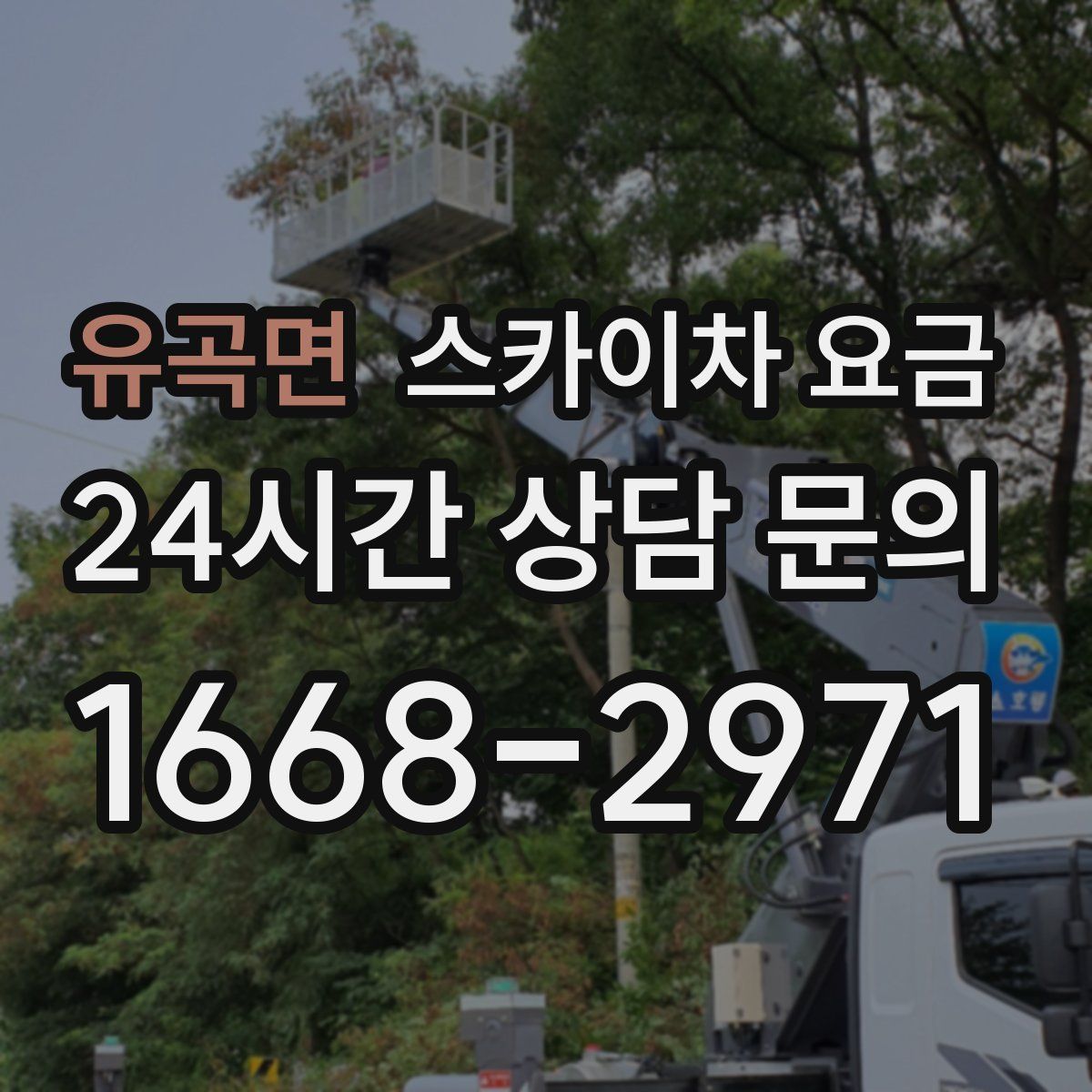 유곡면 스카이차 요금