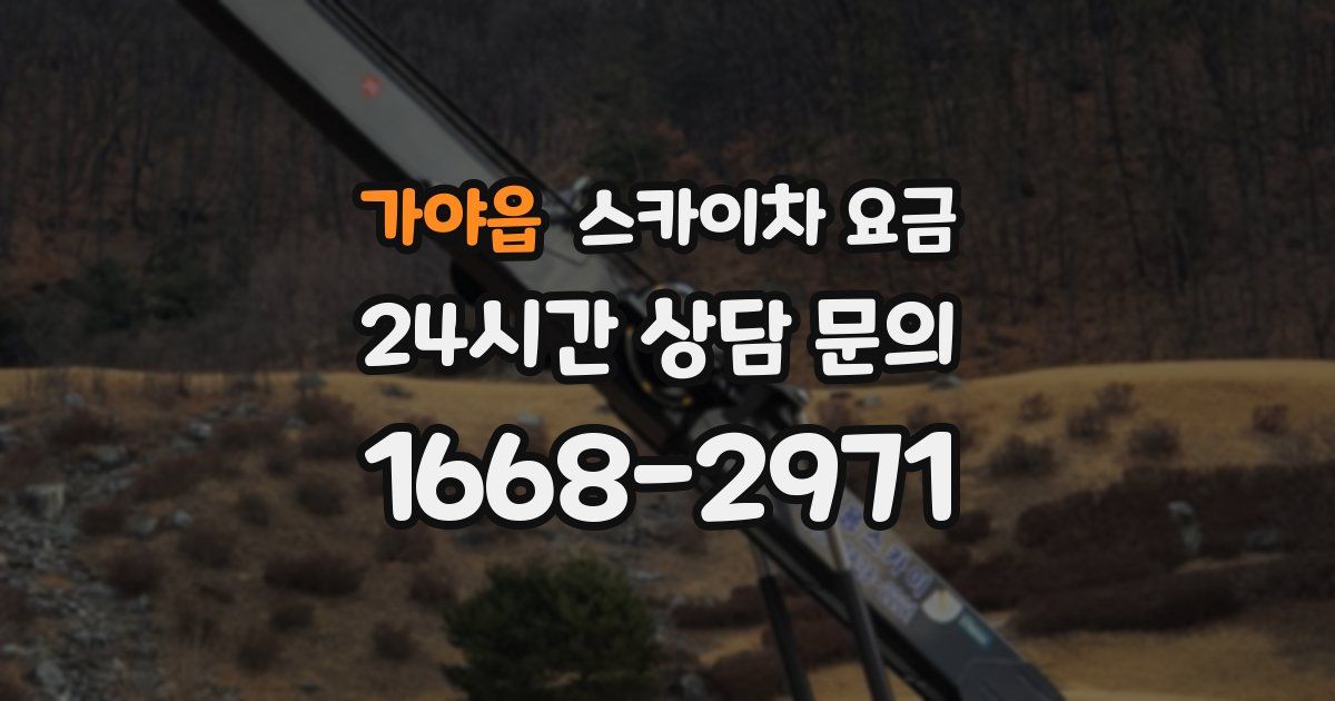 가야읍 스카이차 요금