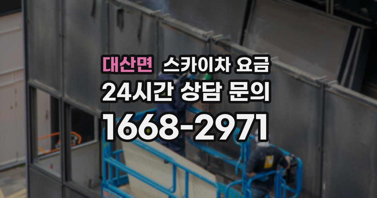 대산면 스카이차 요금