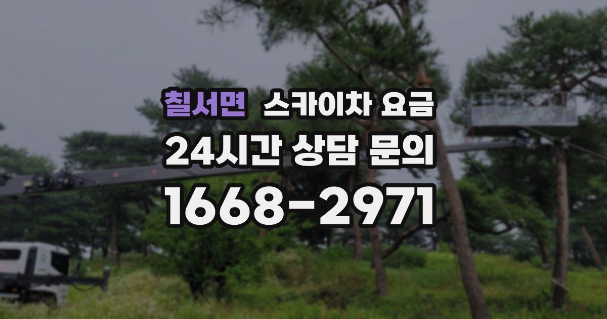 칠서면 스카이차 요금