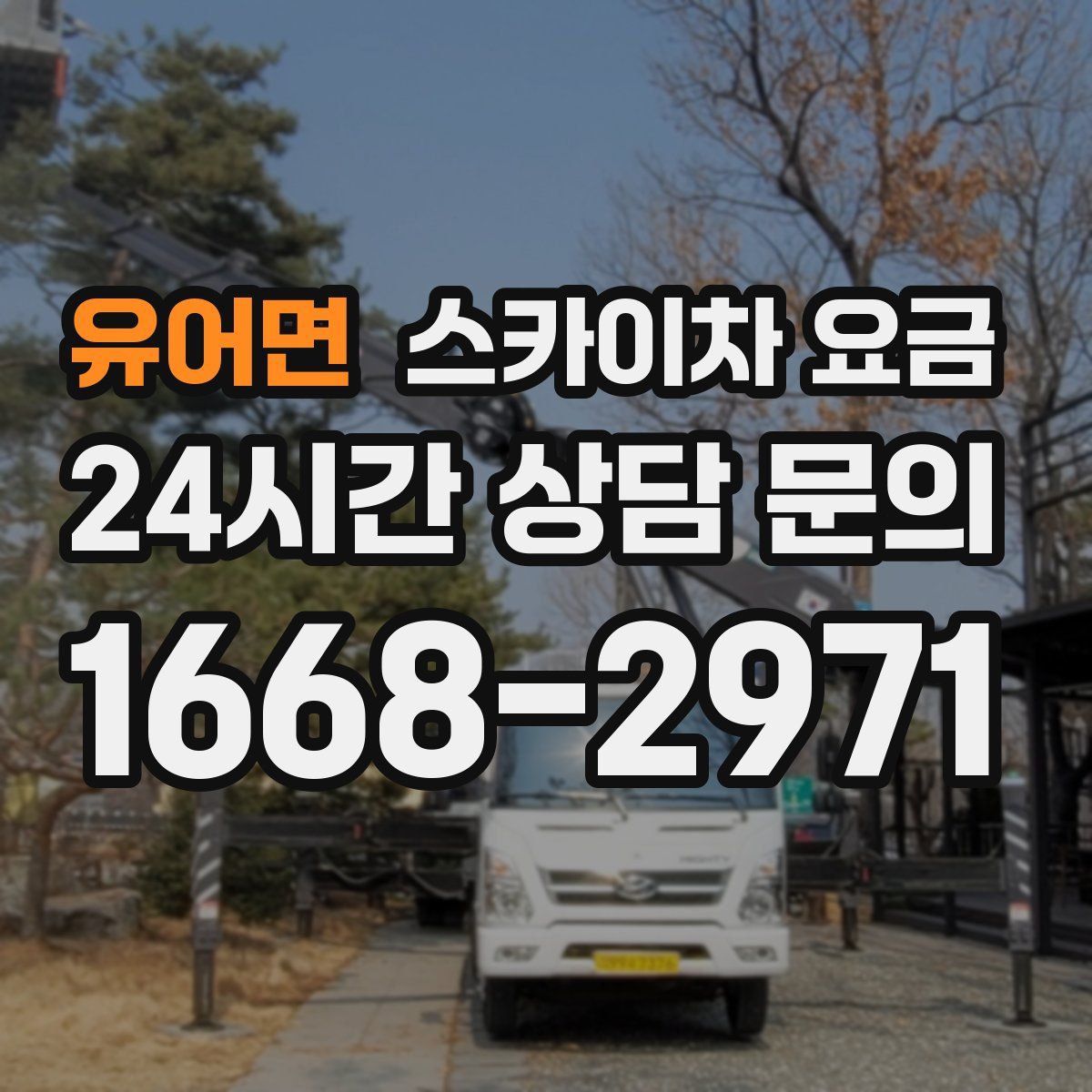 유어면 스카이차 요금