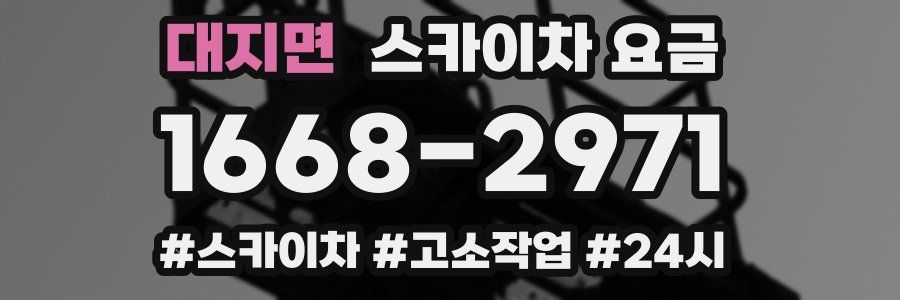 대지면 스카이차 요금
