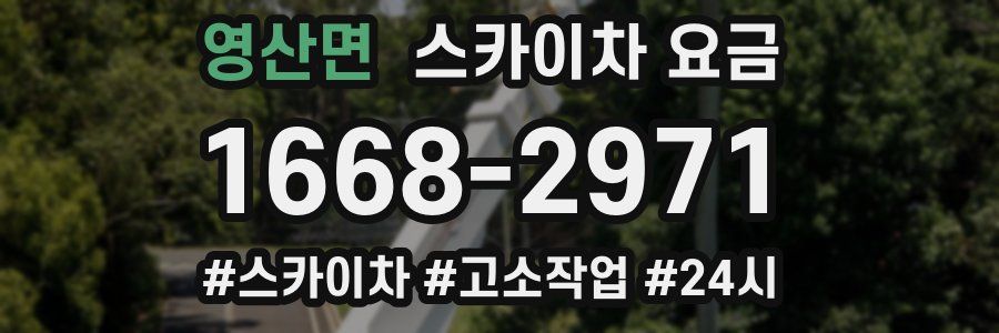 영산면 스카이차 요금