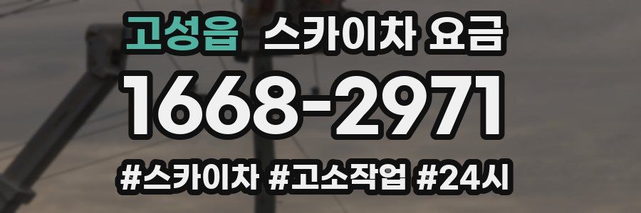 고성읍 스카이차 요금